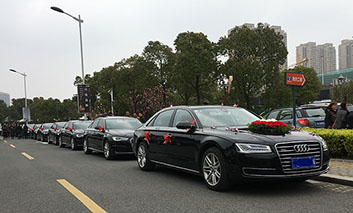 奥迪A8L+5台奥迪A6L